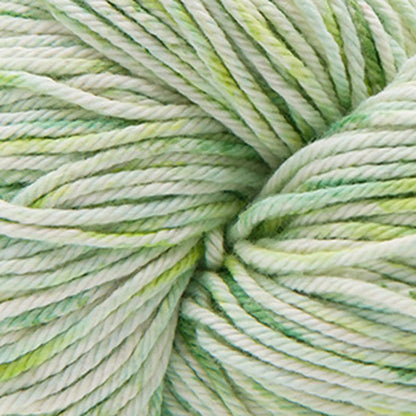 Cascade Nifty Cotton Splash Worsted Yarn color 223 Herb