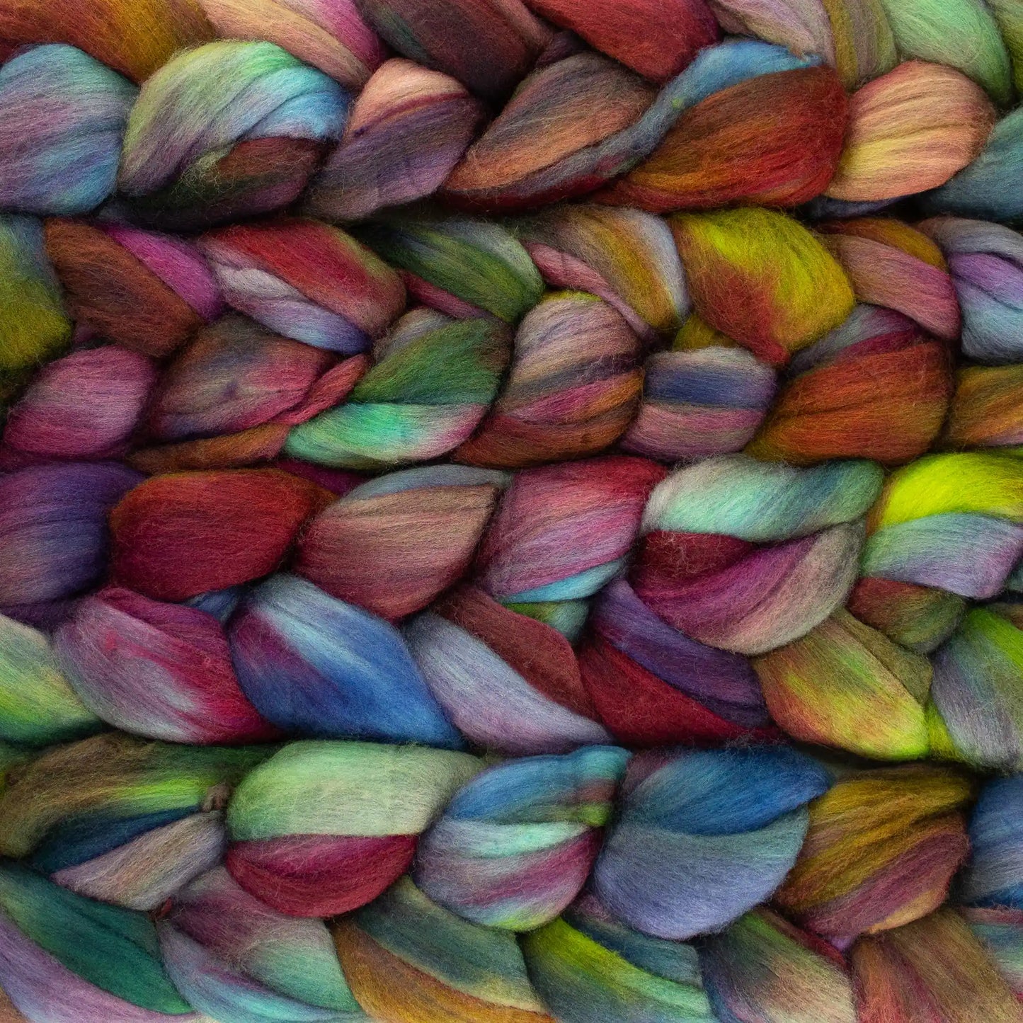 Cameleon 684 - Malabrigo Nube Roving Fiber Braid