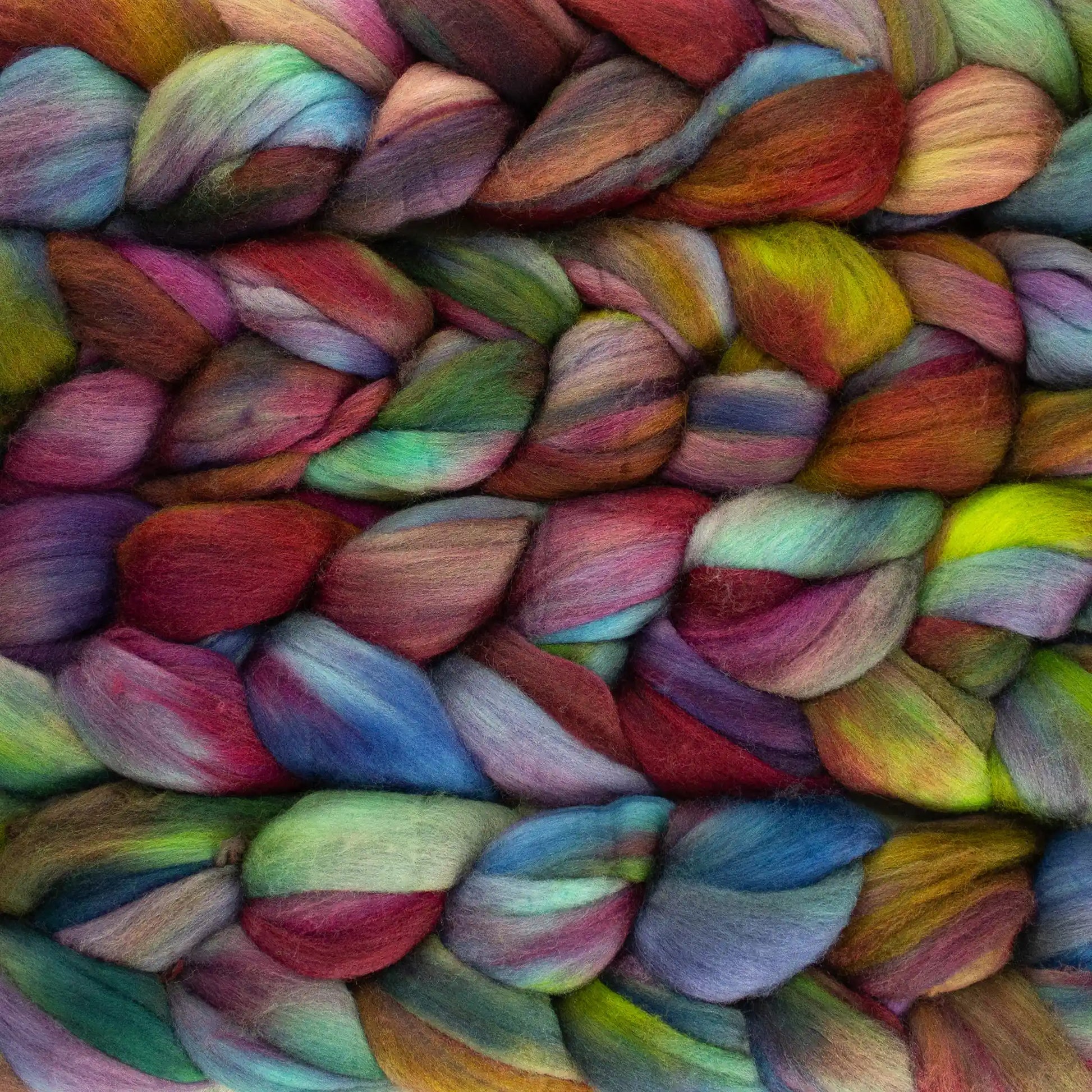 Cameleon 684 - Malabrigo Nube Roving Fiber Braid
