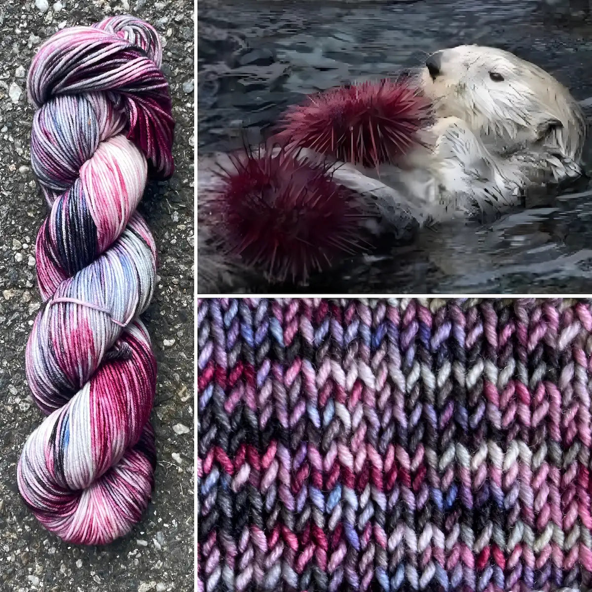 Otter With Sea Urchin - Superwash Merino Spruce Fingering Yarn
