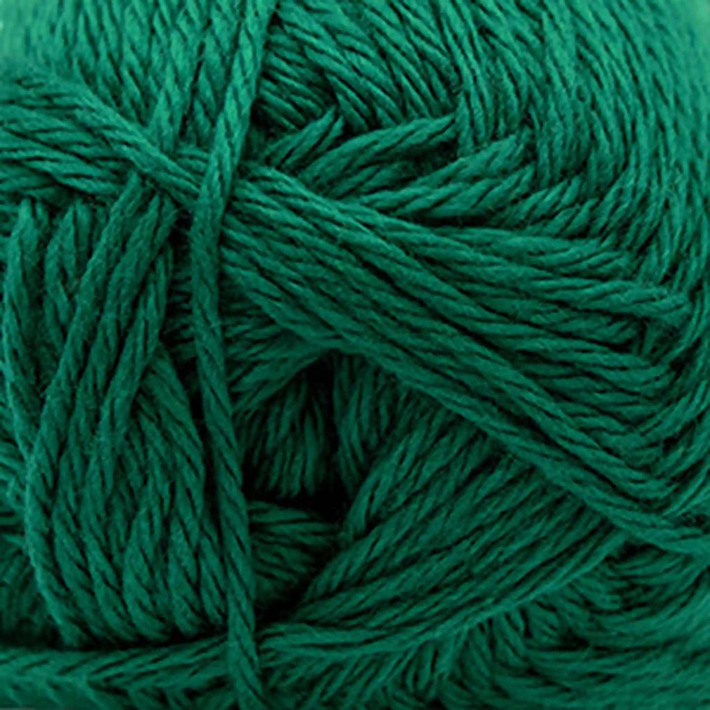 Cascade Pacific Worsted Yarn color 111 Pine Green