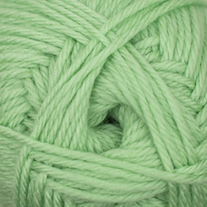 Cascade Pacific Worsted Yarn color 155 Hemlock