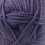 163 Spring Crocus