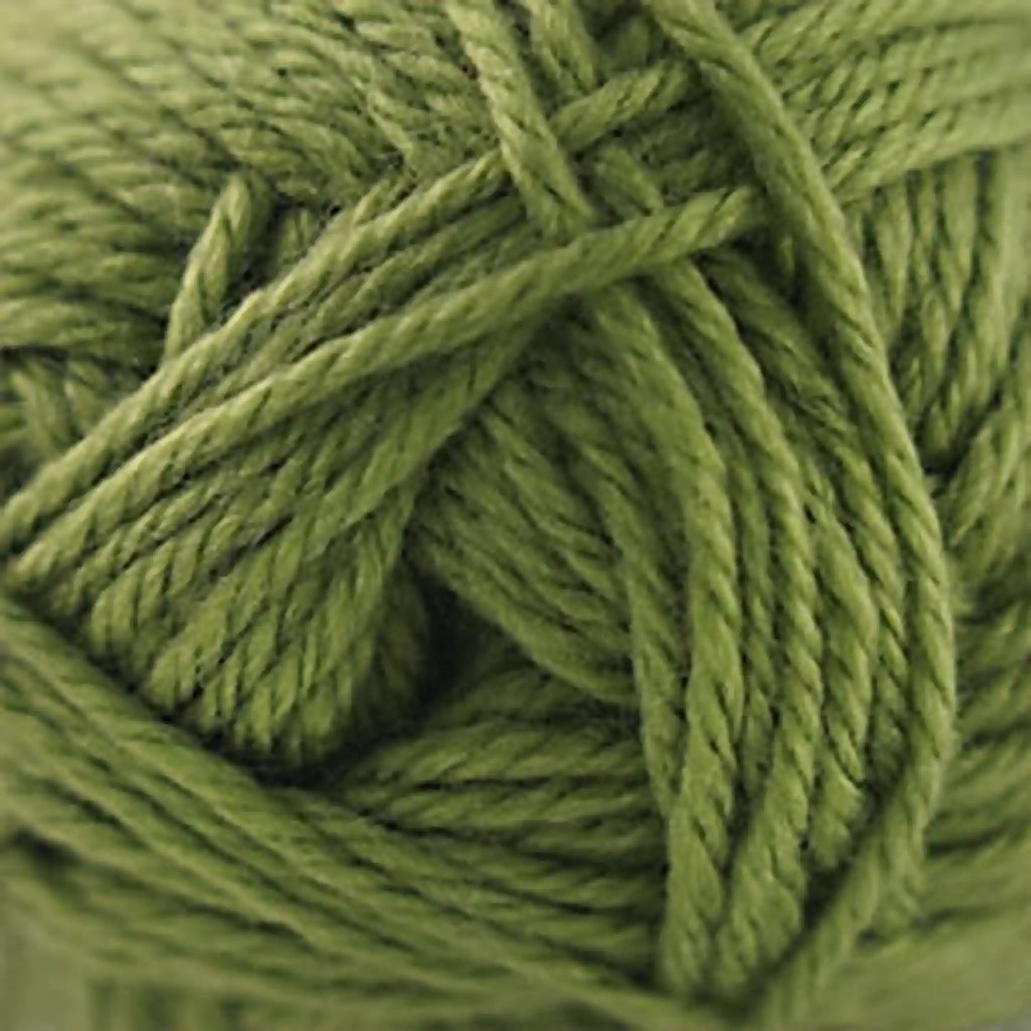 Cascade Pacific Worsted Yarn color 164 Grasshopper
