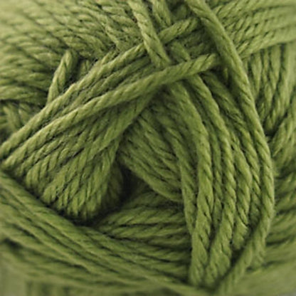 Cascade Pacific Worsted Yarn color 164 Grasshopper