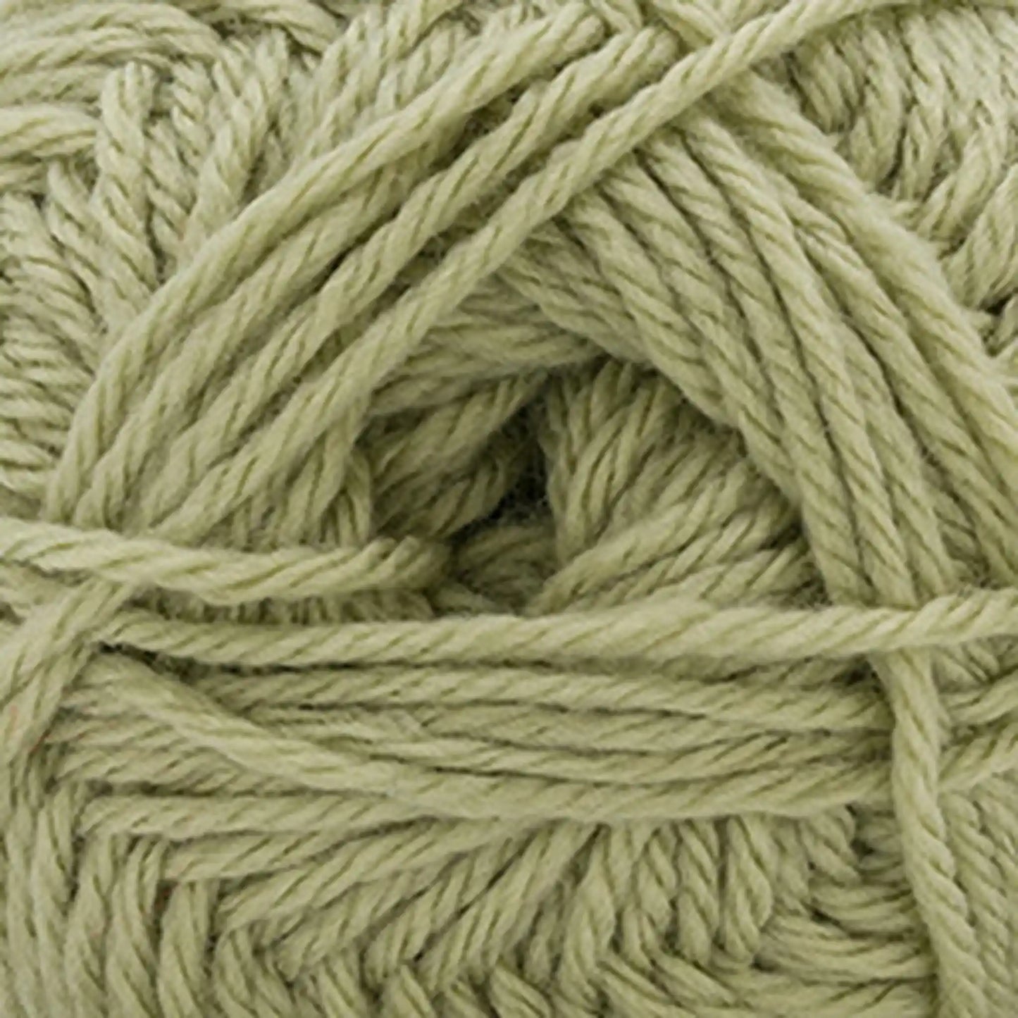 Cascade Pacific Worsted Yarn color 200 Sage Green