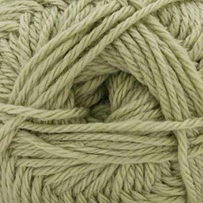 Cascade Pacific Worsted Yarn color 200 Sage Green