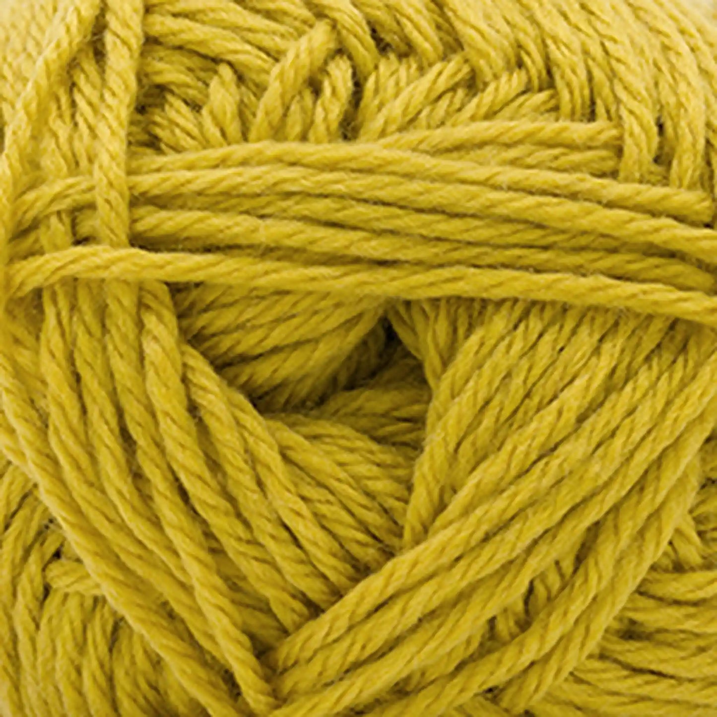 Cascade Pacific Worsted Yarn color 202 Old Gold