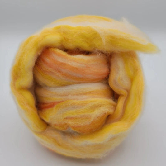 Paradise Fibers Multi - Colored Merino Wool Top - Buttercup - Paradise Fibers