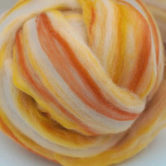Paradise Fibers Multi - Colored Merino Wool Top - Buttercup - Paradise Fibers