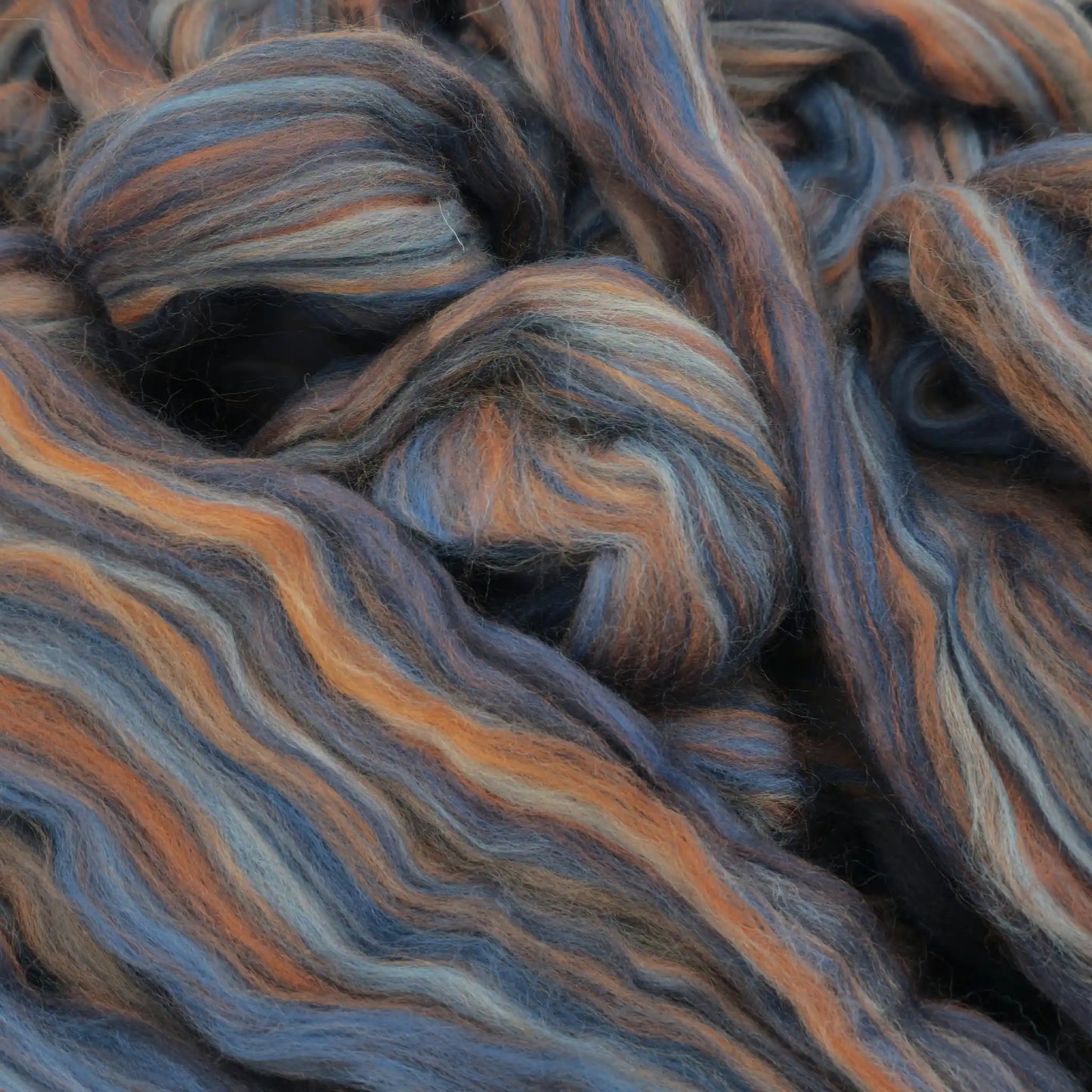Paradise Fibers Multi-Colored Merino Wool Top in Denim, a blue and rust-orange merino spinning fiber