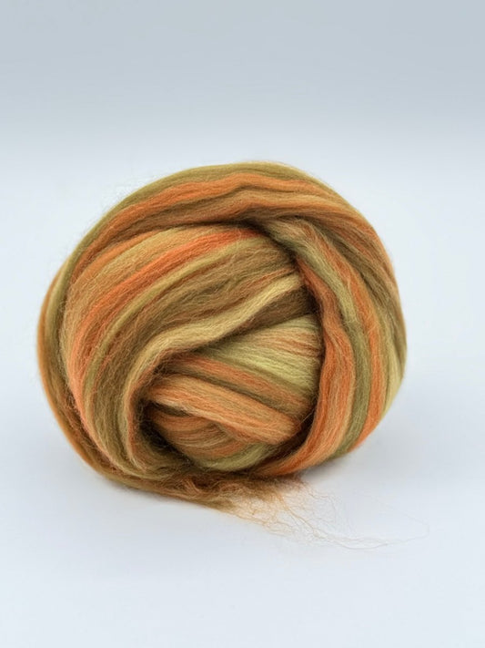 Paradise Fibers Multi - Colored Merino Wool Top - Sequoia - Paradise Fibers