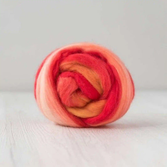 Paradise Fibers Multi Merino Top Blend extra fine merino wool top