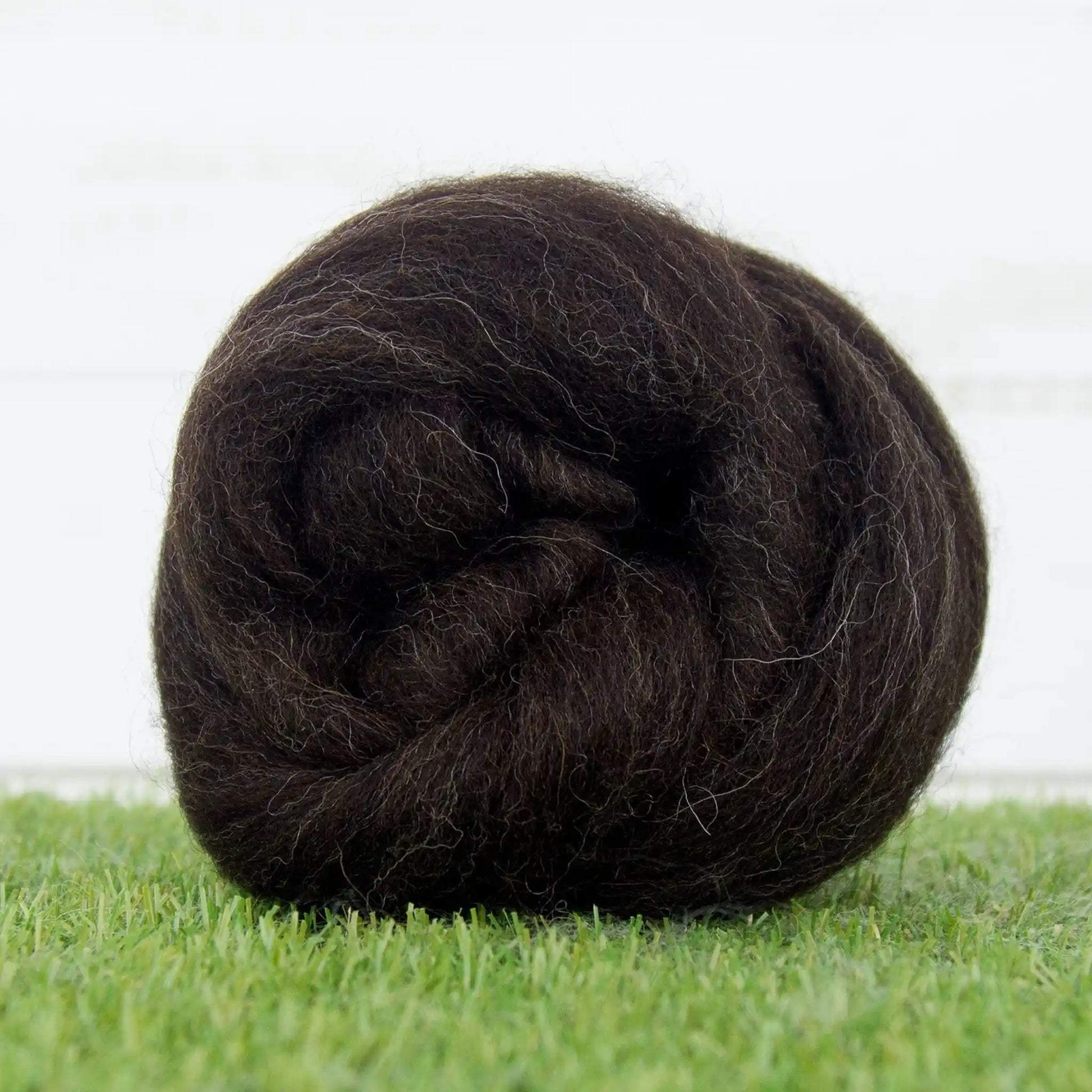 Paradise Fibers Zwartbles Wool Top