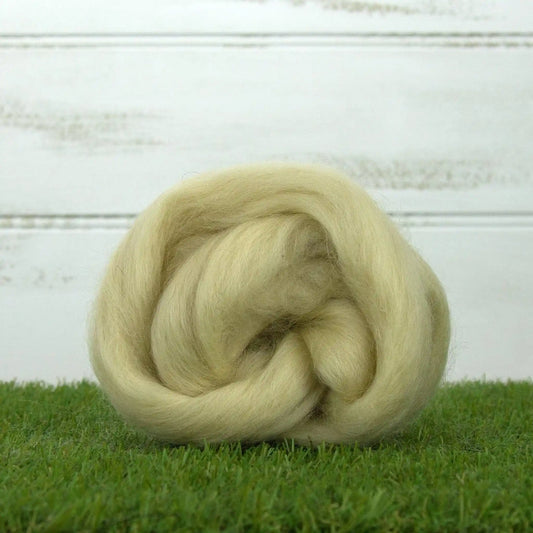 Paradise Fibers Teeswater Wool Top