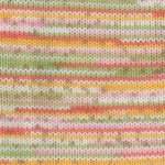 Plymouth Dreambaby DK Paintpot Yarn - Paradise Fibers