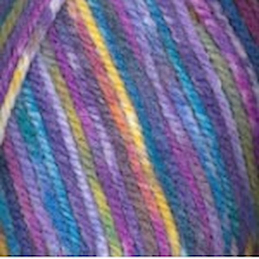 Plymouth Encore Colorspun Yarn - Paradise Fibers