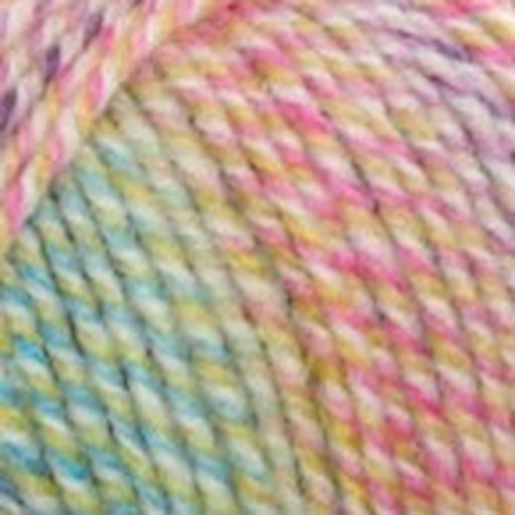 Plymouth Encore Colorspun Yarn - Paradise Fibers