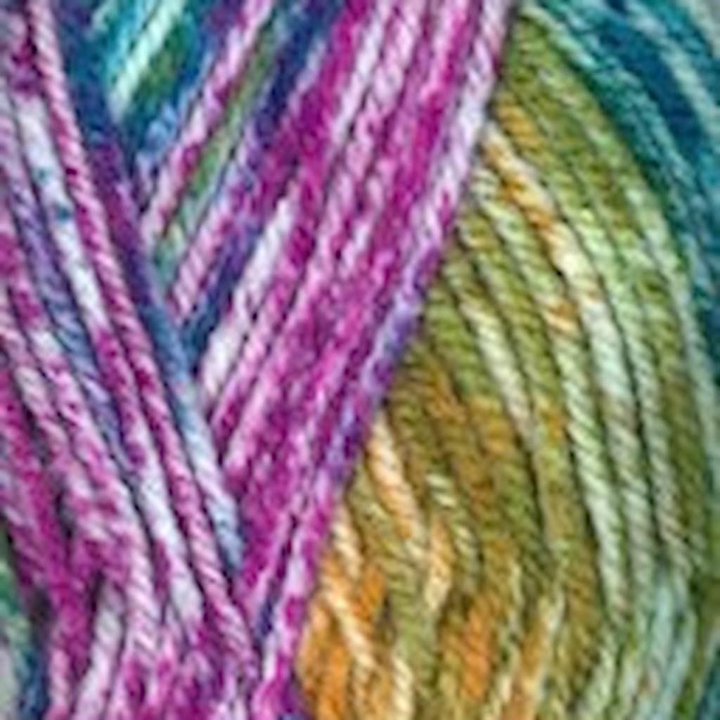 Plymouth Encore Colorspun Yarn - Paradise Fibers