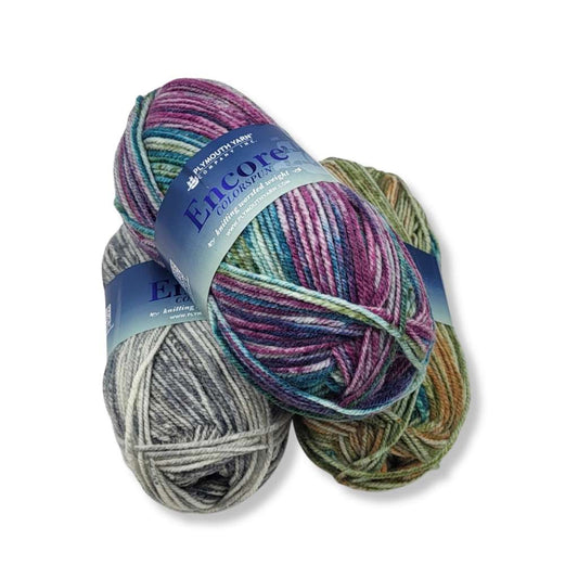 Plymouth Encore Colorspun Yarn - Paradise Fibers
