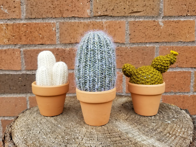 A Prickle of Cactus 2 Kit