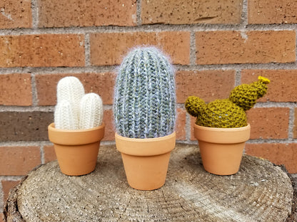 A Prickle of Cactus 2 Kit