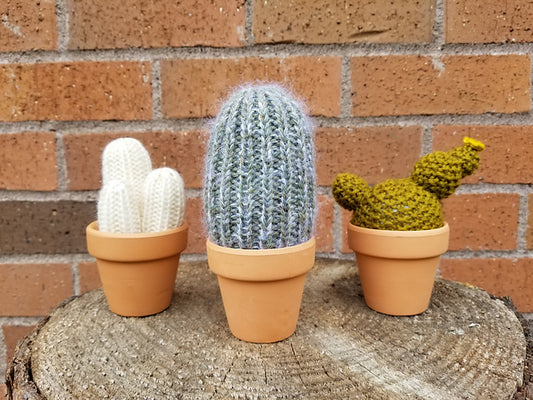A Prickle of Cactus 2 Kit