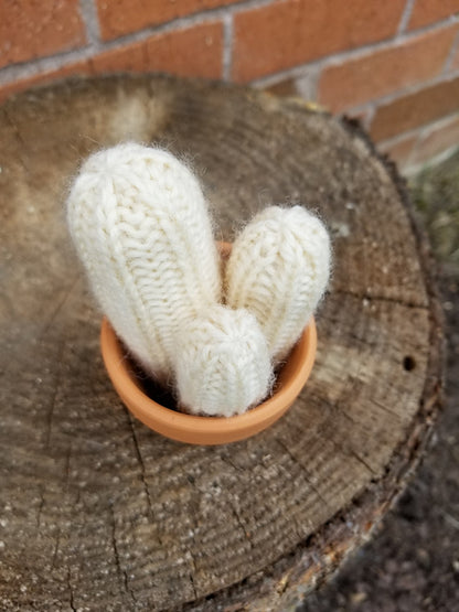 A Prickle of Cactus 2 Kit