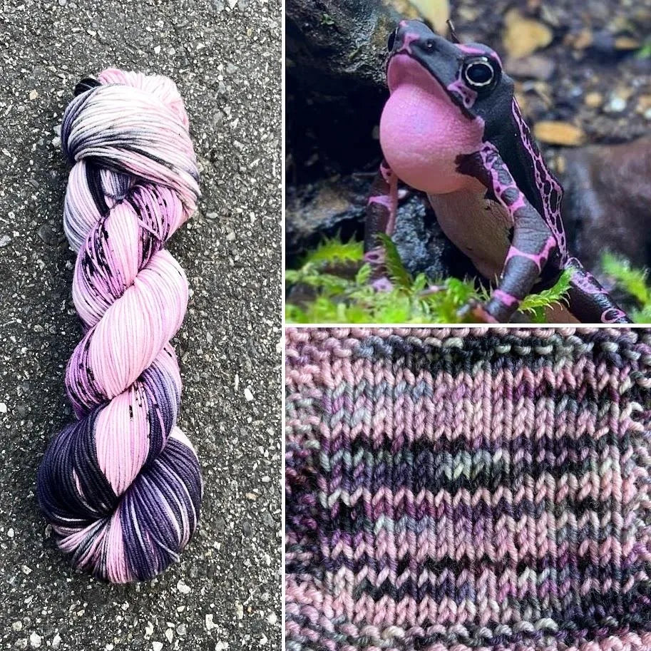 Purple Harlequin Toad colorway skein, Round Mountain Fibers Alder Fingering yarn