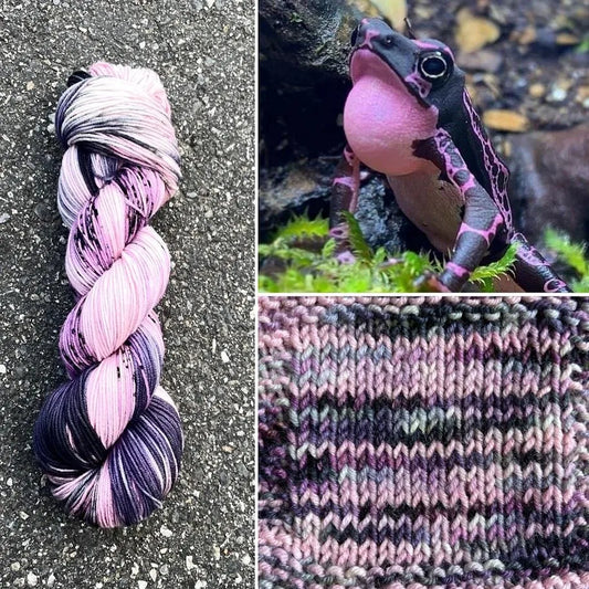 Purple Harlequin Toad colorway skein, Round Mountain Fibers Alder Fingering yarn