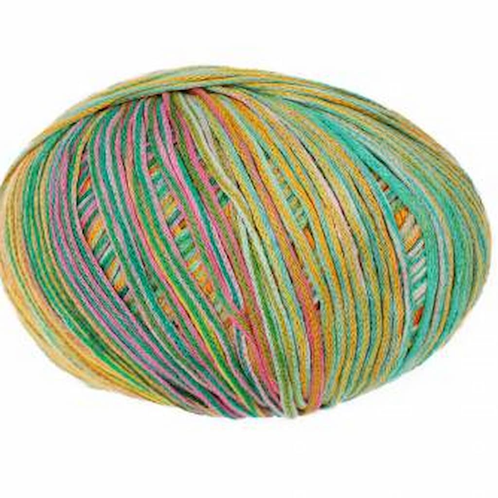 Queensland Cairns - Paradise Fibers