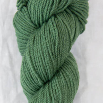 126 Lichen