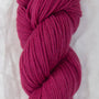 134 Rosa Rugosa