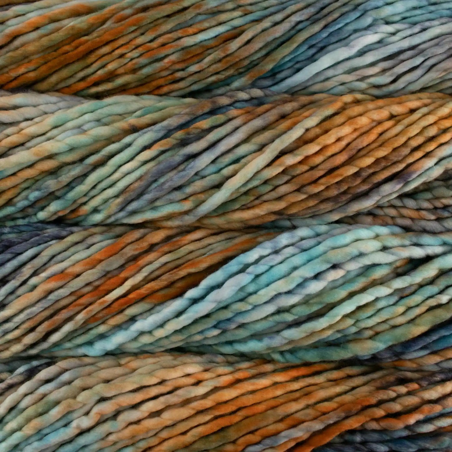 Malabrigo Rasta Super Bulky Yarn color Amphibian 274