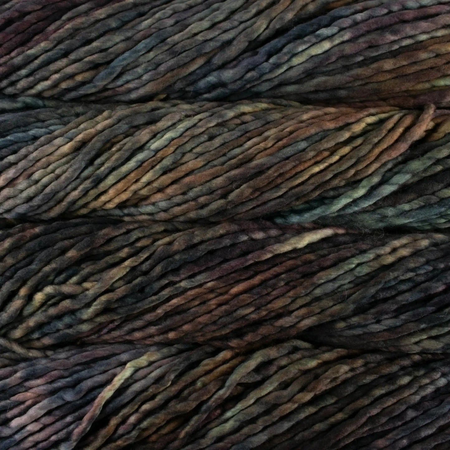 Malabrigo Rasta Super Bulky Yarn color Woodland 304