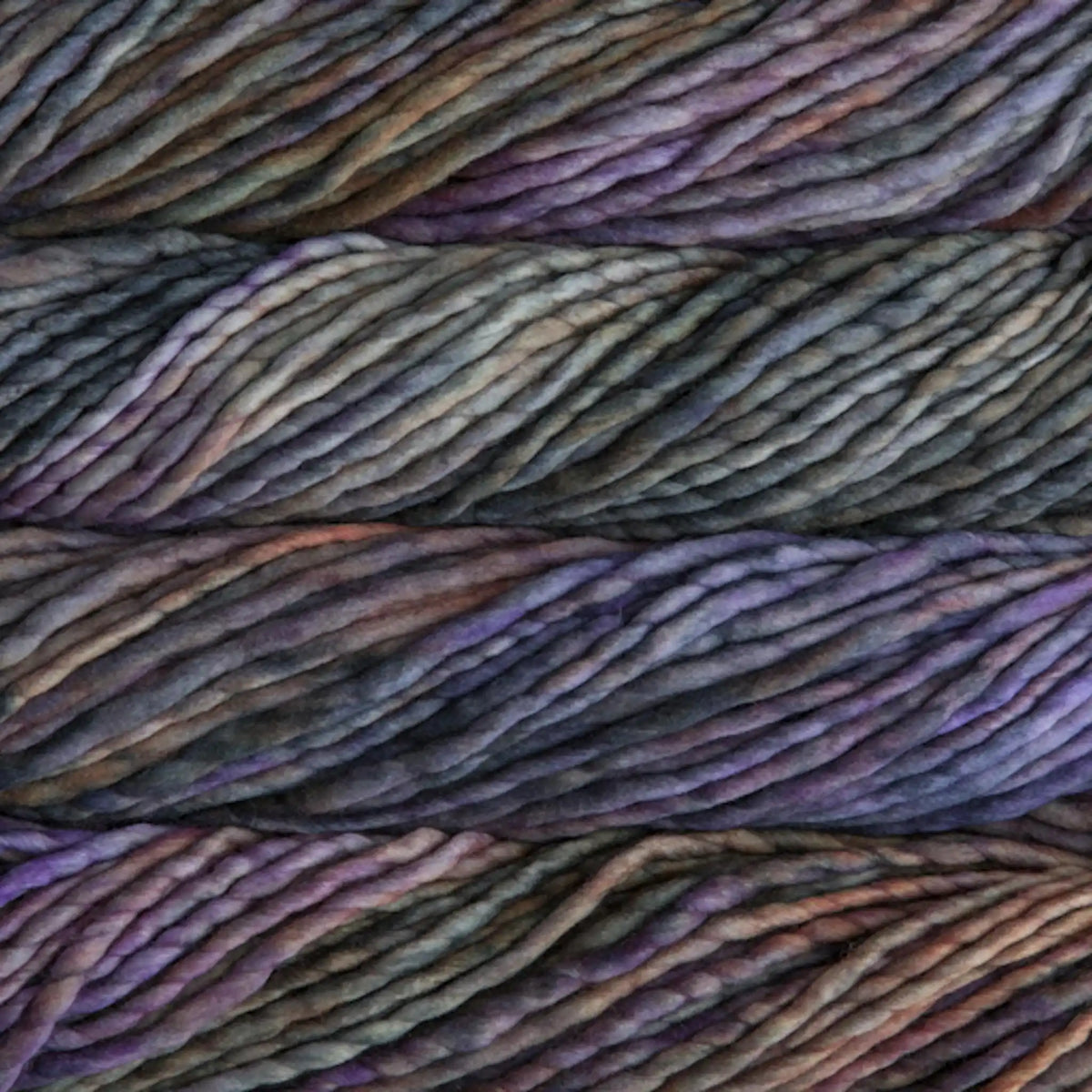 Malabrigo Rasta Super Bulky Yarn color Lluvias 881