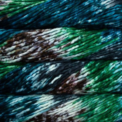 Malabrigo Rasta Super Bulky Yarn color Pintada Snake 171