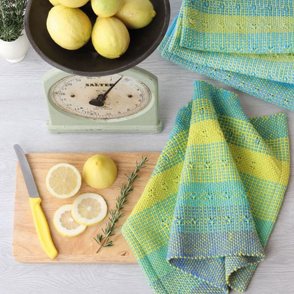 Ashford Rigid Heddle Weaving Basics and Beyond - Deborah Jarchow