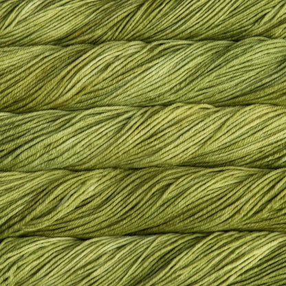 Malabrigo Rios Worsted Yarn color 037 Lettuce