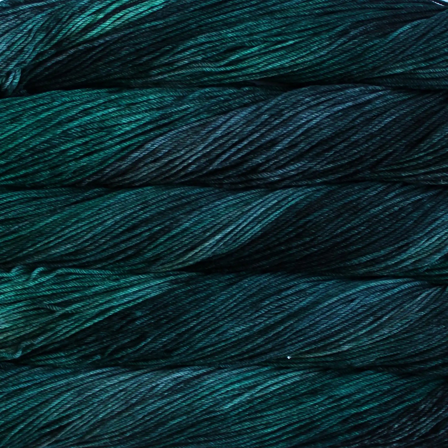 Malabrigo Rios Worsted Yarn color 213 Pines