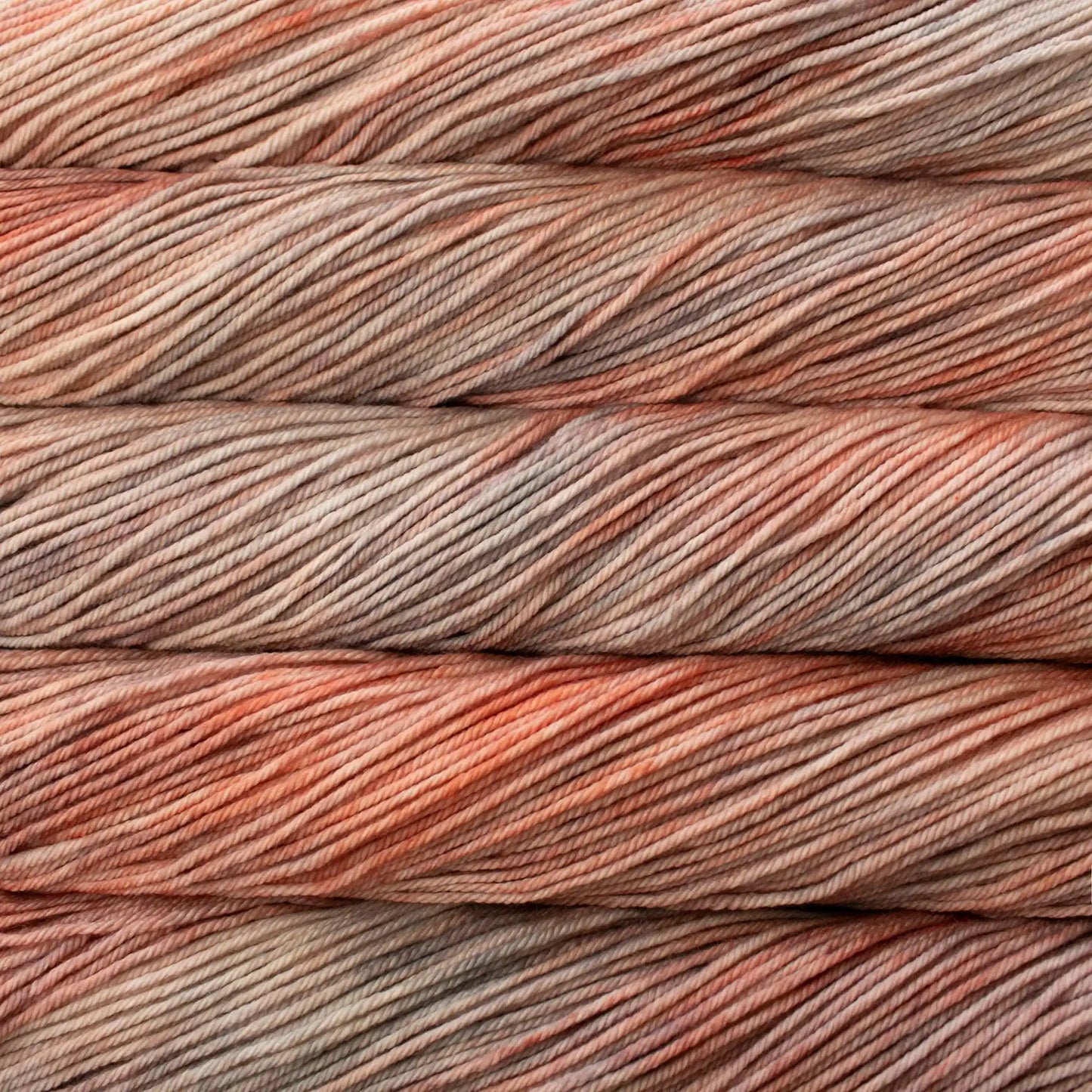 Malabrigo Rios Worsted Yarn color 262 Belinda