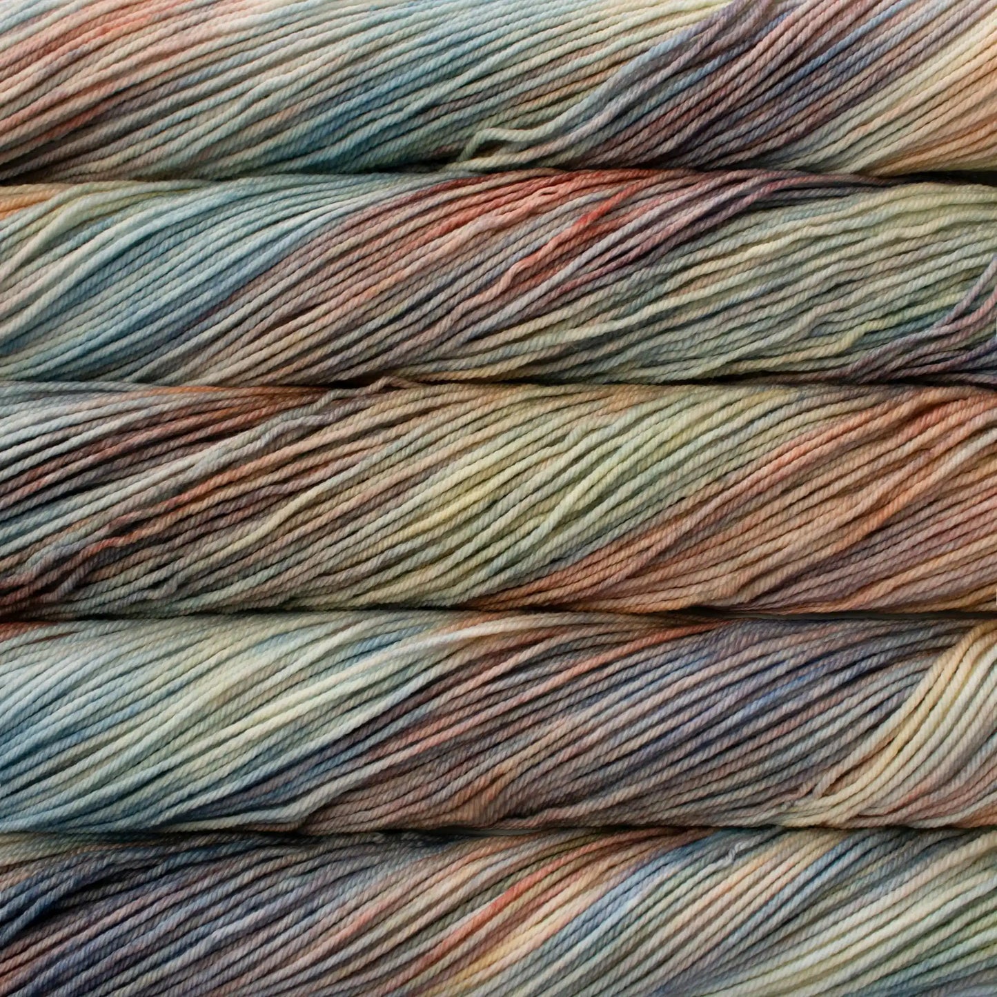 Malabrigo Rios Worsted Yarn color 267 Zahara