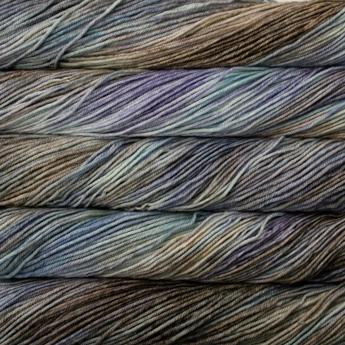 Malabrigo Rios Worsted Yarn color 269 Delphira