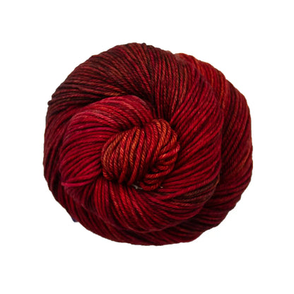 Malabrigo Rios Worsted Yarn color 278 Aries