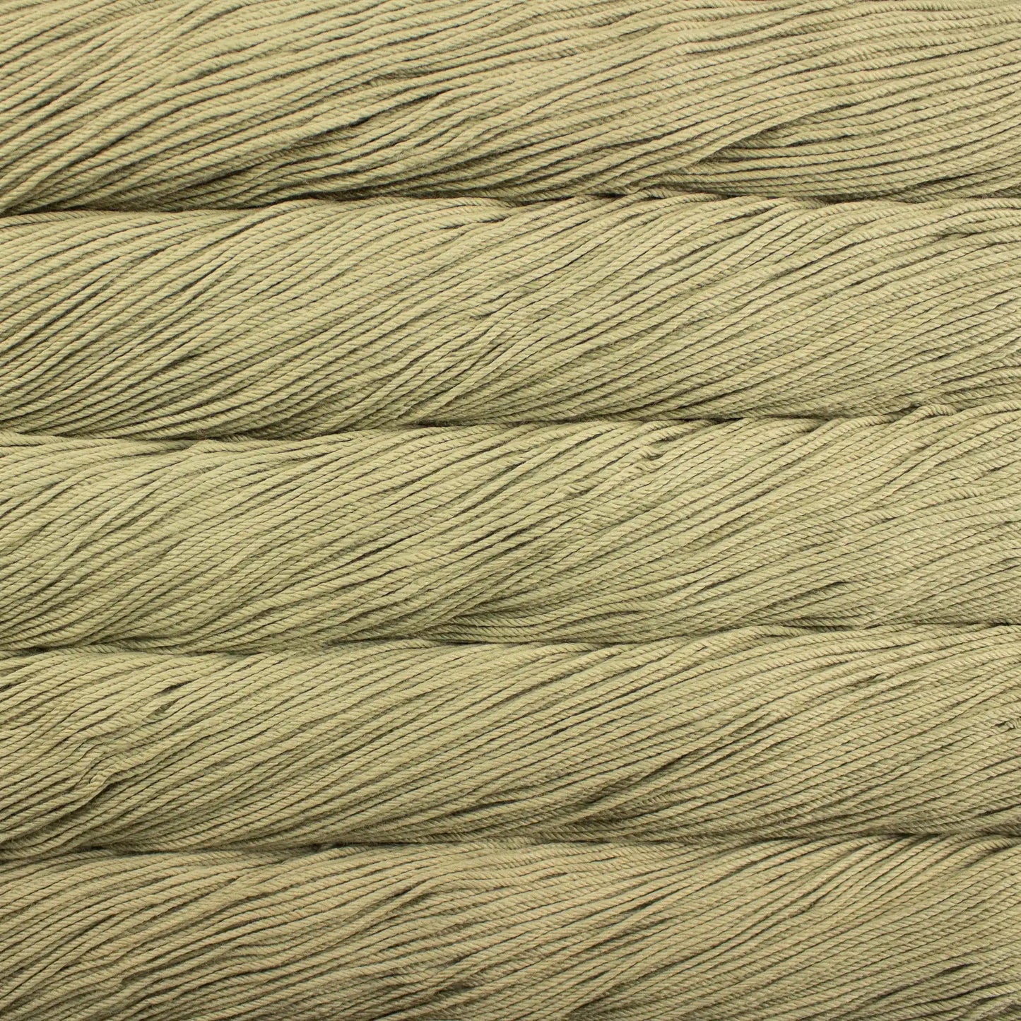 Malabrigo Rios Worsted Yarn color 641 Eucalipto