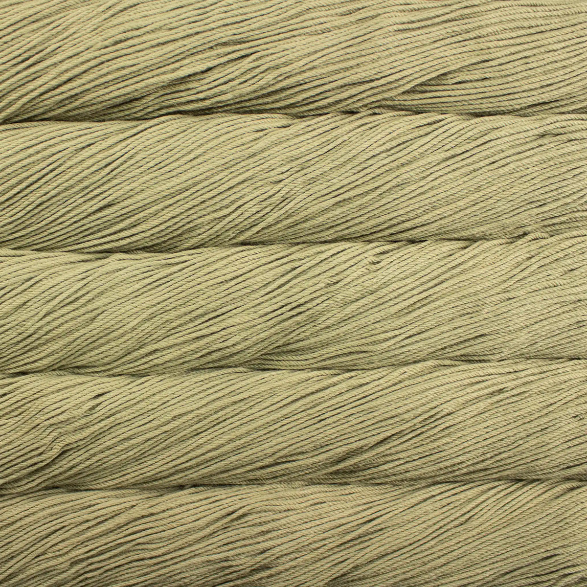 Malabrigo Rios Worsted Yarn color 641 Eucalipto
