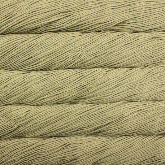 Malabrigo Rios Worsted Yarn color 641 Eucalipto