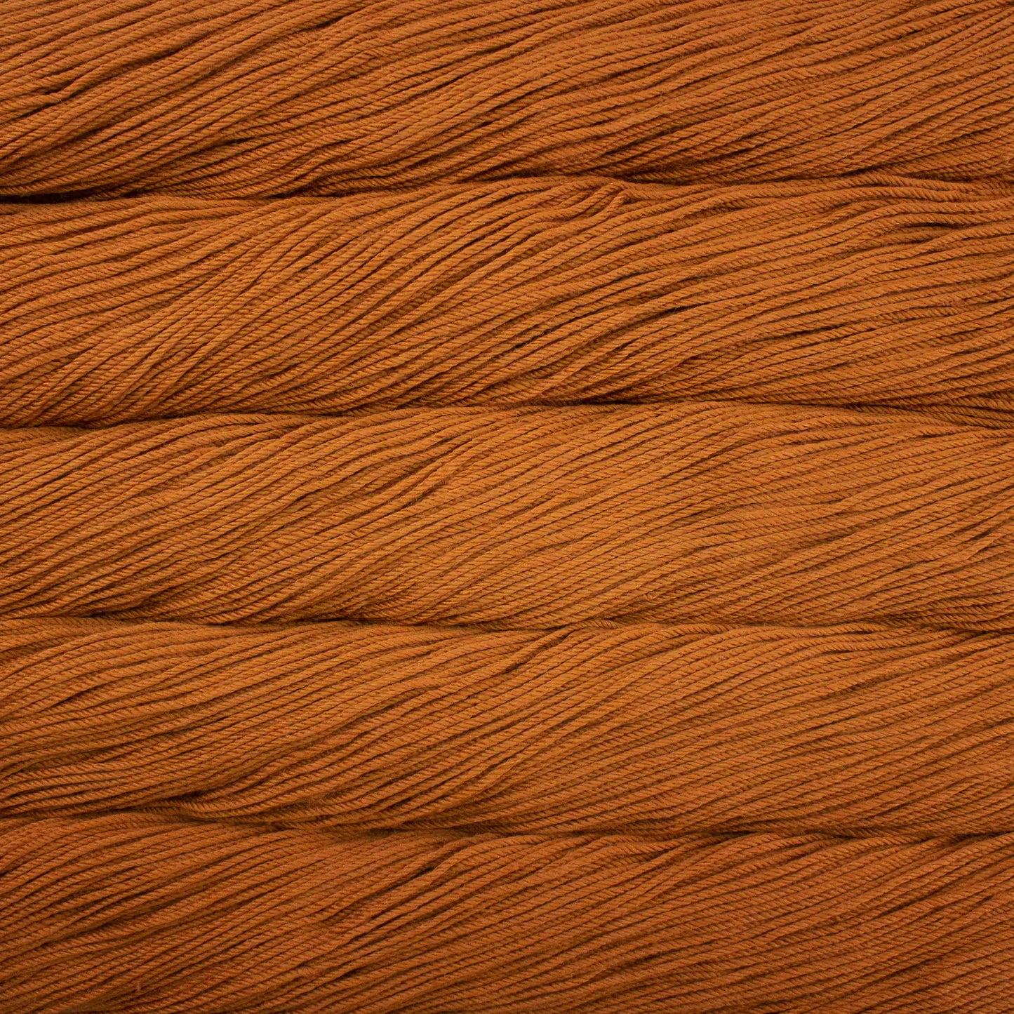 Malabrigo Rios Worsted Yarn color 647 Dulce De Leche