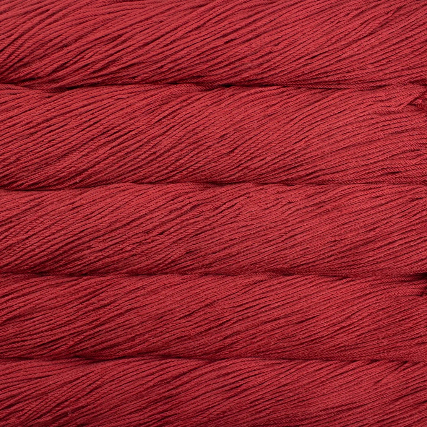 Malabrigo Rios Worsted Yarn color 651 Ceibo