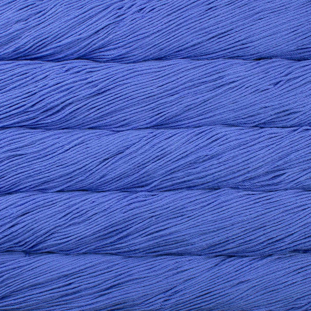 Malabrigo Rios Worsted Yarn color 654 Uruguay